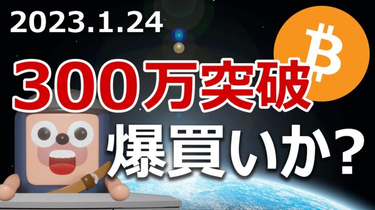 ビットコインが300万円突破！クジラの爆買いが始まったのか調査しました