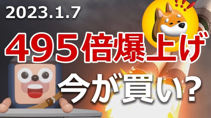 ソラナ初の犬コインが495倍に爆上げ！買えば億万長者か？BONK