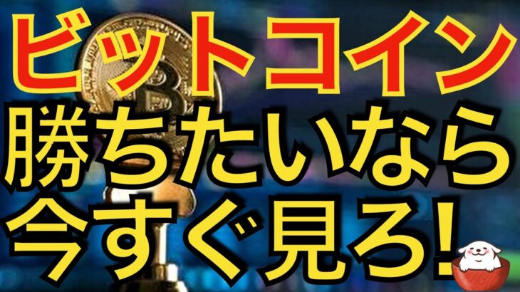 【仮想通貨 ビットコイン】投資で勝てない人は大体がコレやってます（朝活配信981日目 毎日相場をチェックするだけで勝率アップ）【暗号資産 Crypto】