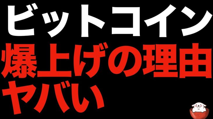【仮想通貨 ビットコイン】爆上げの理由がコレだと下手したら全戻しもありえます（朝活配信987日目 毎日相場をチェックするだけで勝率アップ）【暗号資産 Crypto】
