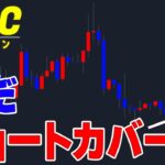 【仮想通貨ビットコイン/BTC】昨日の上昇は本物の？新規通貨で利益を出す方法の解説