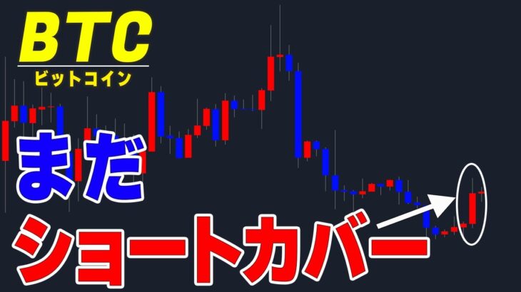 【仮想通貨ビットコイン/BTC】昨日の上昇は本物の？新規通貨で利益を出す方法の解説