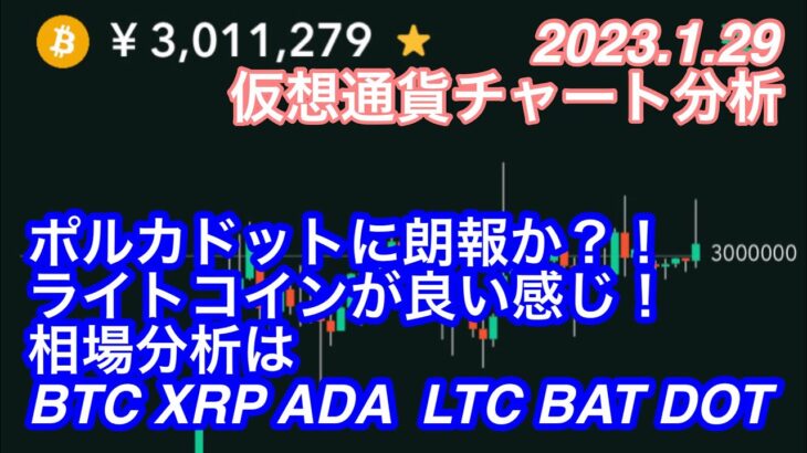 ポルカドットに朗報？！ライトコイン重要局面。本日の相場分析はBTC ADA XRP DOT LTC BAT【仮想通貨チャート分析】2023.1.29