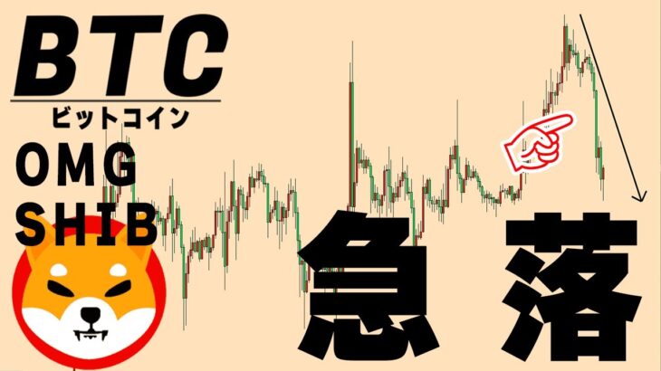 【仮想通貨BTC,OMG,SHIB】今回の急落は現時点では気にしていません