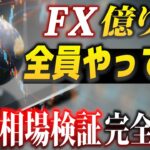 【完全解説】FXで勝つためには避けては通れない道、過去相場検証