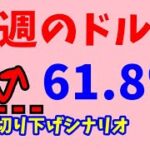 【FX値動き】1/30～2/1　週の前半の　具体的数値を使いトレードシナリオ解説