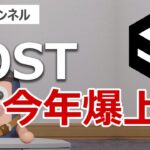 IOSTは今年爆上げするのか検証しました