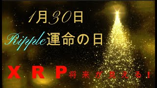【仮想通貨】●Ripple運命の日1月30日、XRPの将来が見えるか？世界の最新仮想通貨ニュースをタイムリーに配信！　#仮想通貨,#BTC,# XRP,
