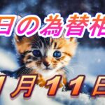 【TAKA FX】ドル、円、ユーロ、ポンド、豪ドルの為替相場の前日の動きをチャートから解説。1月11日