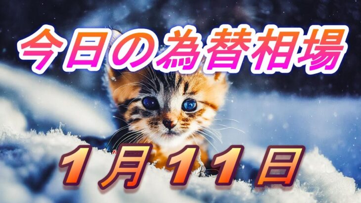 【TAKA FX】ドル、円、ユーロ、ポンド、豪ドルの為替相場の前日の動きをチャートから解説。1月11日