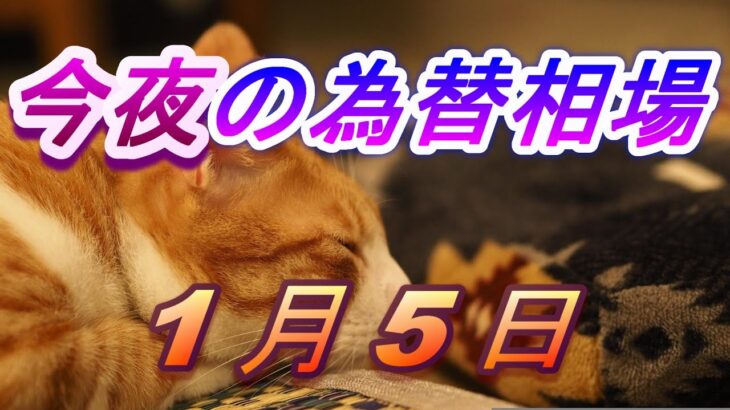 【TAKA FX】ドル、円、ユーロ、ポンド、豪ドルの為替相場の前日の動きをチャートから解説。1月5日