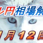 【TAKA FX】ドル円為替相場の前日の動きをチャートから解説。日経平均、NYダウ、金チャートも。1月12日