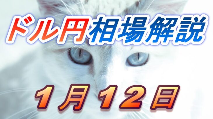 【TAKA FX】ドル円為替相場の前日の動きをチャートから解説。日経平均、NYダウ、金チャートも。1月12日