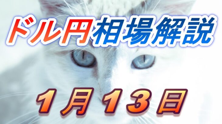 【TAKA FX】ドル円為替相場の前日の動きをチャートから解説。日経平均、NYダウ、金チャートも。1月13日