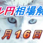 【TAKA FX】ドル円為替相場の今週の動きと来週の展望をチャートから解説。日経平均、NYダウ、金チャートも。1月16日～