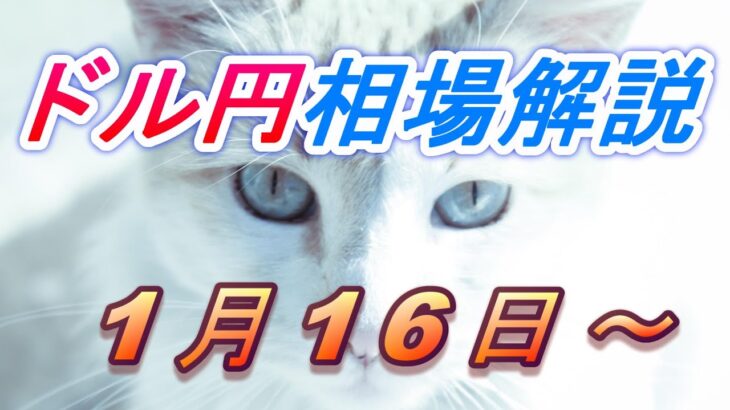 【TAKA FX】ドル円為替相場の今週の動きと来週の展望をチャートから解説。日経平均、NYダウ、金チャートも。1月16日～