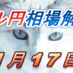 【TAKA FX】ドル円為替相場の前日の動きをチャートから解説。日経平均、NYダウ、金チャートも。1月17日