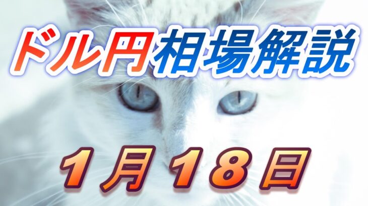 【TAKA FX】ドル円為替相場の前日の動きをチャートから解説。日経平均、NYダウ、金チャートも。1月18日