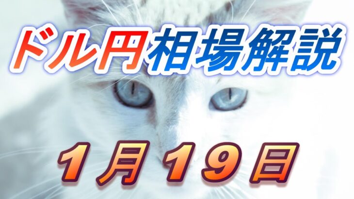 【TAKA FX】ドル円為替相場の前日の動きをチャートから解説。日経平均、NYダウ、金チャートも。1月19日