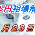 【TAKA FX】ドル円為替相場の今週の動きと来週の展望をチャートから解説。日経平均、NYダウ、金チャートも。1月23日～