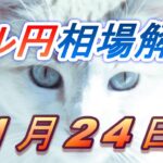 【TAKA FX】ドル円為替相場の前日の動きをチャートから解説。日経平均、NYダウ、金チャートも。1月24日