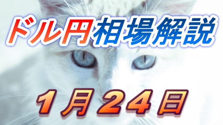 【TAKA FX】ドル円為替相場の前日の動きをチャートから解説。日経平均、NYダウ、金チャートも。1月24日