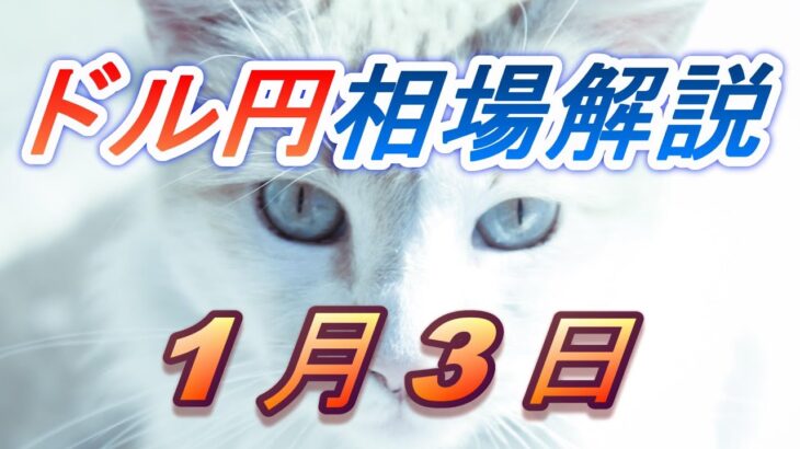 【TAKA FX】ドル円為替相場の前日の動きをチャートから解説。日経平均、NYダウ、金チャートも。1月3日