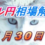 【TAKA FX】ドル円為替相場の今週の動きと来週の展望をチャートから解説。日経平均、NYダウ、金チャートも。1月30日～