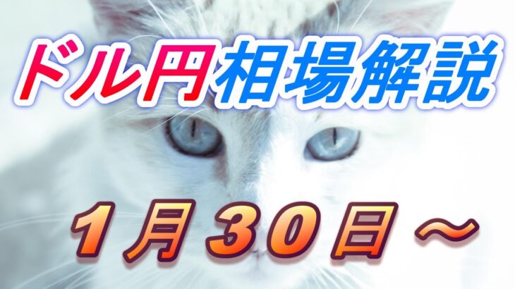 【TAKA FX】ドル円為替相場の今週の動きと来週の展望をチャートから解説。日経平均、NYダウ、金チャートも。1月30日～