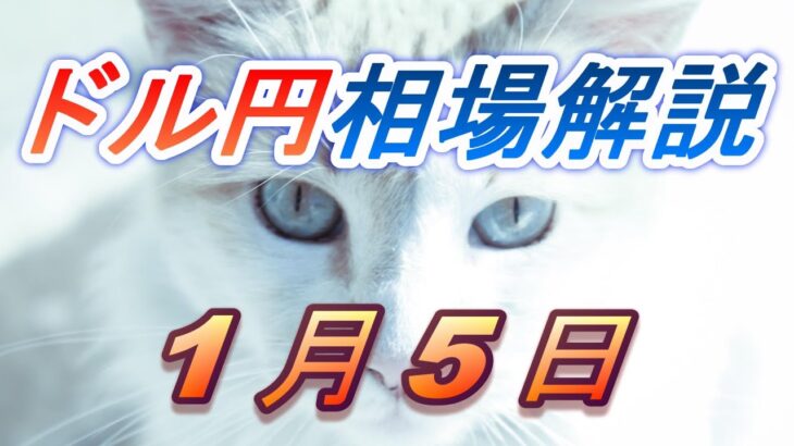【TAKA FX】ドル円為替相場の前日の動きをチャートから解説。日経平均、NYダウ、金チャートも。1月5日