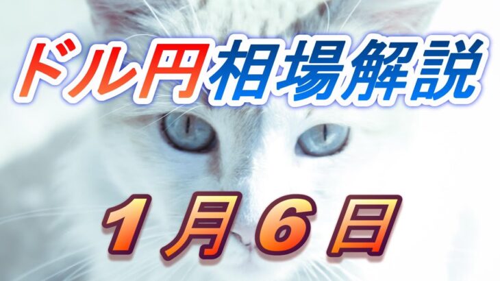 【TAKA FX】ドル円為替相場の前日の動きをチャートから解説。日経平均、NYダウ、金チャートも。1月6日