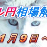 【TAKA FX】ドル円為替相場の今週の動きと来週の展望をチャートから解説。日経平均、NYダウ、金チャートも。1月9日～