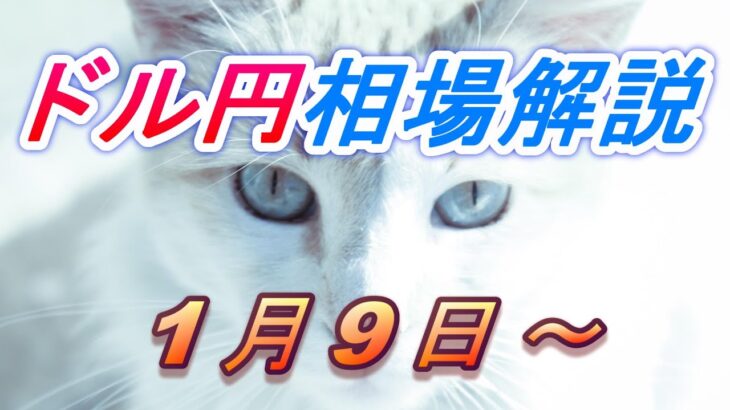 【TAKA FX】ドル円為替相場の今週の動きと来週の展望をチャートから解説。日経平均、NYダウ、金チャートも。1月9日～