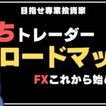 【WEEK1】FX勝ちトレーダーロードマップ〜FXとは【らりめいぱFX】