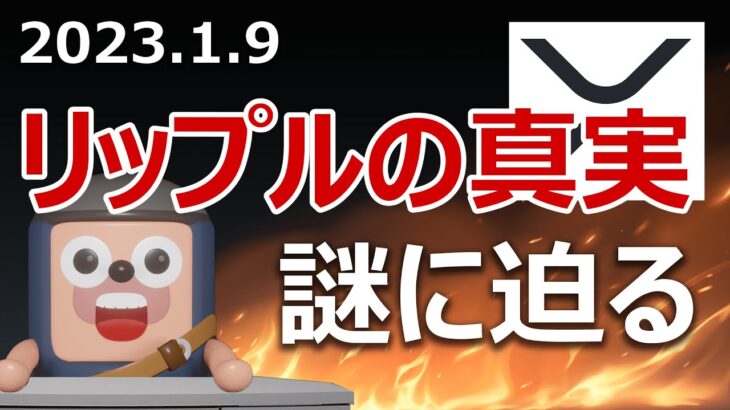 XRPはリップルではないという真実で炎上！謎に迫ります