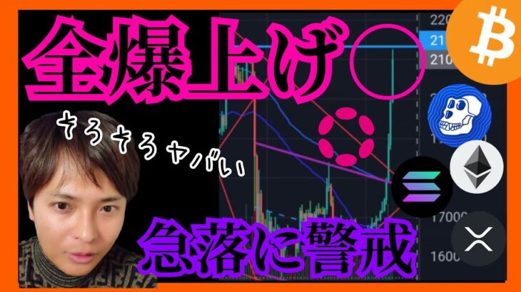 【全爆上げ】そろそろ急落に警戒！ #仮想通貨 ビットコイン イーサリアム リップル ソラナ ポルカドット チャート分析