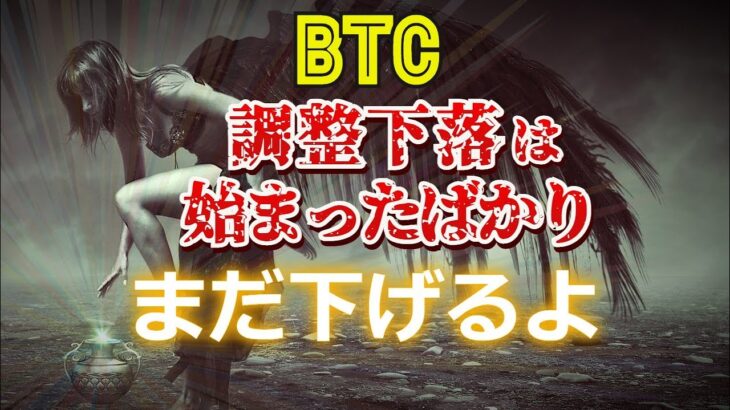 ビットコインの調整下落は始まったばかり。まだ下げるよ。