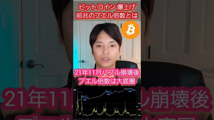 ビットコイン 爆上げ前兆のプエル倍数とは❔ #仮想通貨