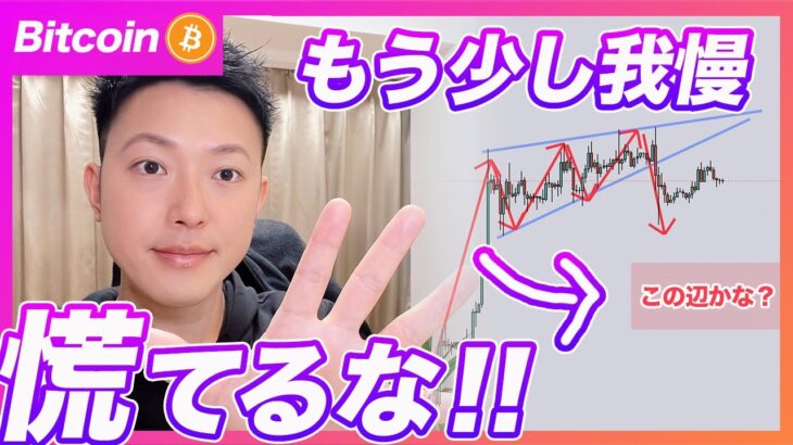 【大丈夫！この下げは想定済み】ビットコイン・もう少し引き付けてから買っていきます！【仮想通貨分析を先出し配信】
