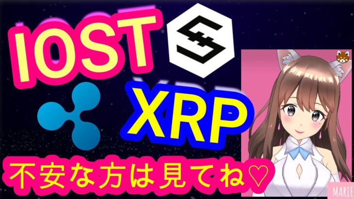 02/23【仮想通貨】XRP/IOST相場分析♡5分で聞ける♪インスタは説明欄から登録してね↓↓↓サクッと見れる♪通勤前や寝る前のインプットにおすすめ♡