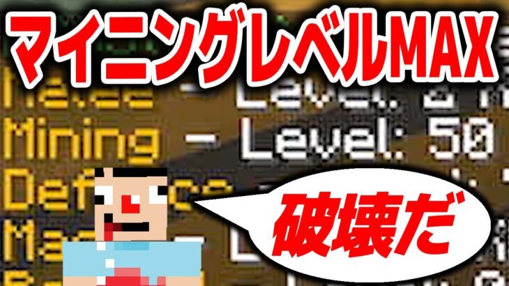 #12.5【MOD】マイニングレベルMAXにする鬼作業『モリモリクラフト』【あくまで個人戦】