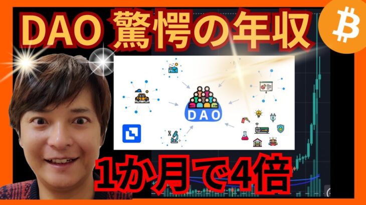 【驚愕】1か月で4倍の仮想通貨✨DAOで働く人が高年収💰️ ビットコイン BTC ETH シバイヌ(SHIB) BABYDOGE 相場分析