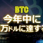 ビットコインは今年中に19万ドルに達する！？