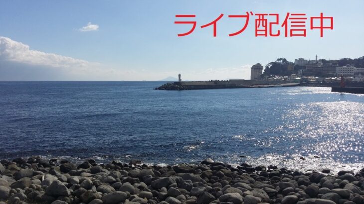 2023/2/ 10   金曜日 　限定ライブ配信　【なべさんFX】テクニカル分析専門サイト