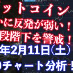 【社会人向け】【投資・暗号資産】2023年2月11日(土)18:30チャート分析！ビットコインもう1段階下への警戒！