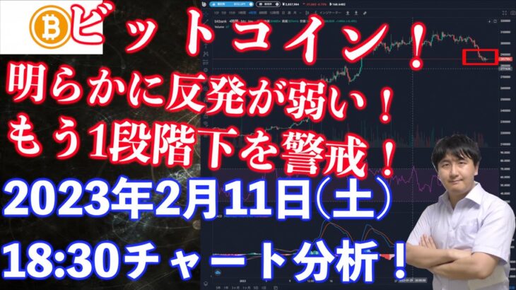 【社会人向け】【投資・暗号資産】2023年2月11日(土)18:30チャート分析！ビットコインもう1段階下への警戒！