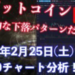【社会人向け】【投資・暗号資産】2023年2月25日(土)16:30チャート分析！BTC典型的な下落のパターンだった！