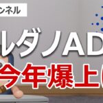 エイダコイン(ADA)は今年爆上げするのか？