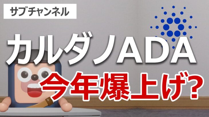 エイダコイン(ADA)は今年爆上げするのか？