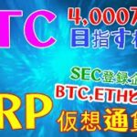 【仮想通貨】BTCが4000万円目指す！海外分析家の根拠！XRPは仮想通貨！SEC登録の投資顧問会社が主張していた！世界の最新仮想通貨ニュースをタイムリーに配信！　#仮想通貨,#BTC,# XRP,